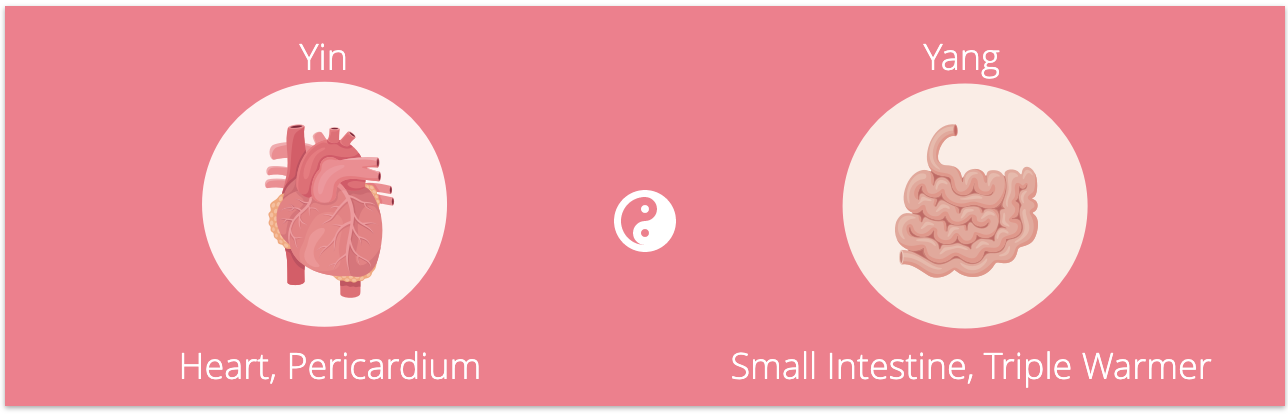 The Fire Element - Heart/Pericardium & Small Intestine/Triple Warmer