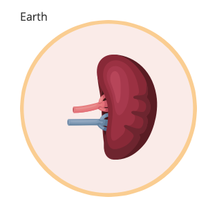 QiGong's Earth Element