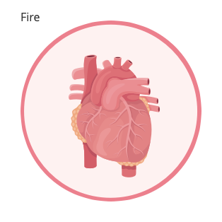 QiGong's Fire Element