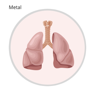 QiGong's Metal Element