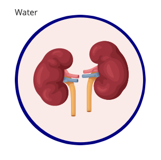 QiGong's Water Element