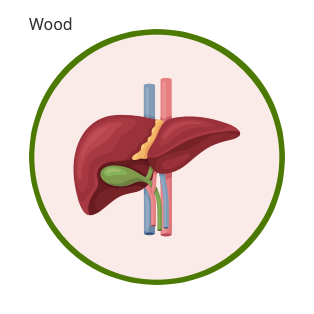 QiGong's Wood Element